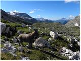 Rifugio Pederü - Rifugio Biella / Seekofel Hütte